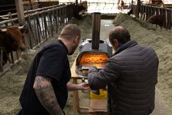Cuisson d'une pizza artisanale dans un four mobile dans une ferme avec des vaches en arrière-plan.
