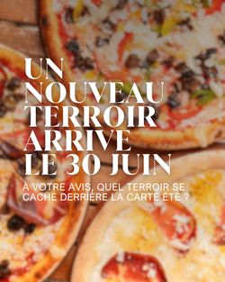 Pizzas artisanales colorées avec divers ingrédients frais et saveurs variées, présentées en gros plan.