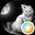 Photo de profil de Arwoen Fox