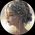 Photo de profil de Lyx Gautreau