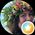 Photo de profil de Justine Gilbert