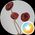 Photo de profil de Mg 33