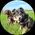 Photo de profil de Bastien S