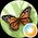 Photo de profil de Riad Bey Omar